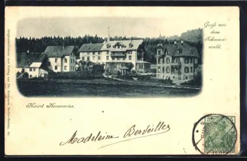 AK Herrenwies /Schwarzwald, Ortspartie mit Hotel