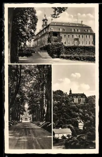 AK Lichtenwalde, Schloss, Allee, Parkansicht