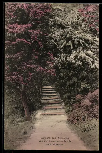 AK Mittweida, Aufgang zum Auensteig von der Lauenhainer Mühle