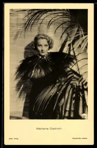 AK Schauspielerin Marlene Dietrich hinter einer Palme