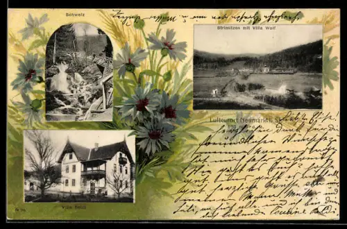AK Neumarkt in der Steiermark, Strimitzen mit Villa Wolf, Villa Seidt, Passepartout mit Kornblumen