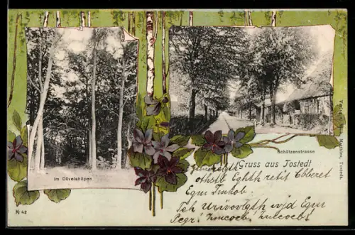 AK Tostedt, Partie in der Schützenstrasse, Im Düvelshöpen