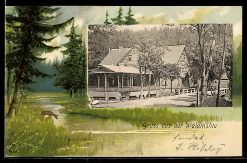 AK Braunlage, Gasthof Waidmühle, Reh am Bach