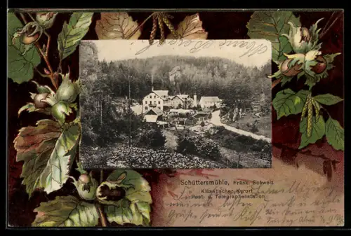 AK Schüttersmühle, Blick über den Kurort, Haselnuss-Zweige