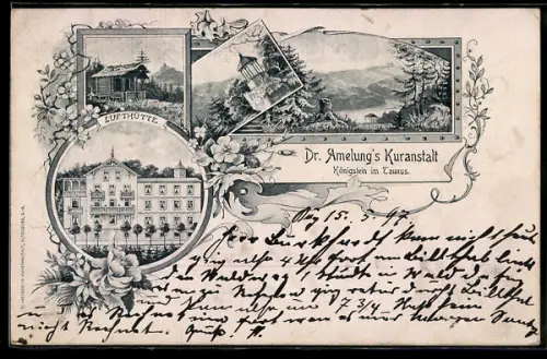 AK Königstein im Taunus, Dr. Amelung`s Kuranstalt, Lufthütte, Pavillon