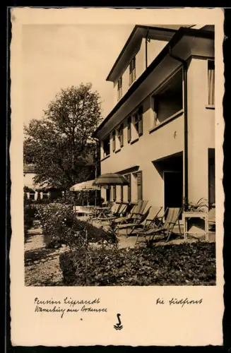 AK Wasserburg /Bodensee, Hotel-Pension Lipprandt, Südfront