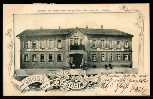 AK Meckesheim, Gasthaus-Bierbrauerei zum goldenen Ochsen Karl Dressler, mit kleiner Versammlung