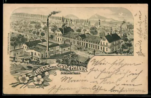 Lithographie Schw. Gmund, Schlachthaus aus der Vogelschau