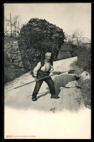 AK Holz- und Laubsammler mit grosser Fuhre auf dem Rücken