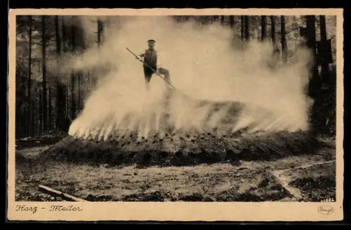 AK Holzkohlenmeiler im Harz, Forstwirtschaft