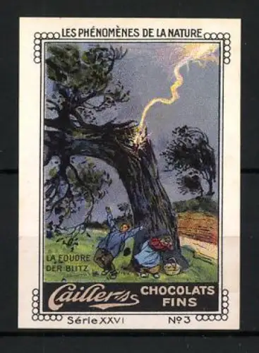 Reklamemarke Cailler Chocolats Fins, Les Phenomenes De La Nature, Blitz trifft Baum