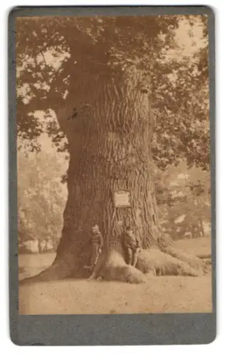 Fotografie W. Jerie, Carlsbad, Ansicht Dallwitz /Dalovice, Zwei Kinder an der Körner-Eiche