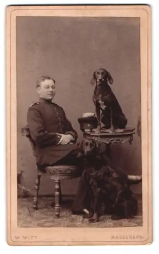 Fotografie W. Witt, Ratzeburg, gr. Kreuzstrasse 102, Mann in Uniform mit zwei Diensthunden