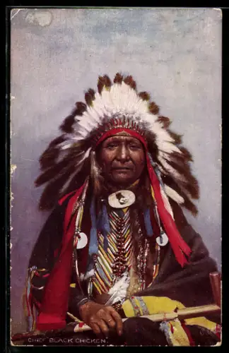 AK Indian Chief Black Chicken