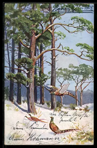 Künstler-AK August Splitgerber: Winteridyll mit Fasanen