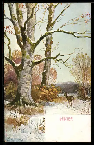 Künstler-AK August Splitgerber: Reh in einer Winterlandschaft