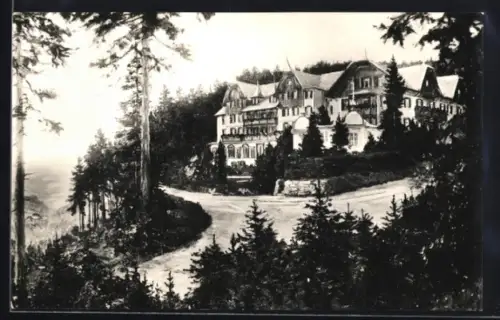 AK Sand /bad. Schwarzwald, Berghotel, Bes. Landerer & Reischmann