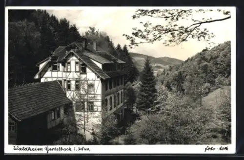 AK Gertelbach i. Schwarzw., Waldheim