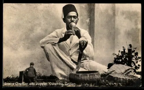 AK Colombo, Snake Charmer and Juggler, Dressur