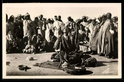 AK Le charmeur de Serpents, Dressur