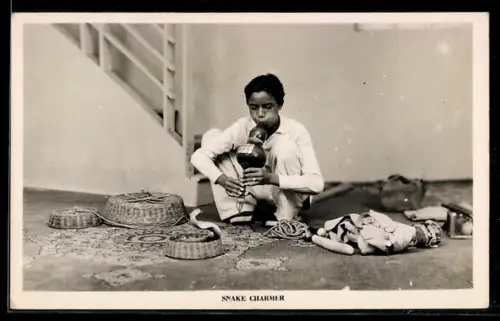 AK Snake charmer, Dressur