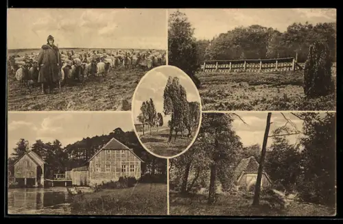 AK Müden /Oertze, Hirte, Imkerei und Hütte im Wald