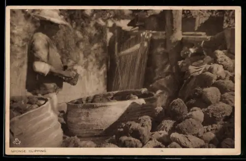 AK Worker at Sponge Clipping