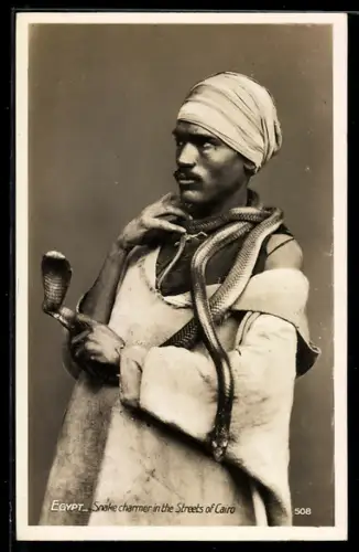 AK Cairo, A snake charmer, Dressur