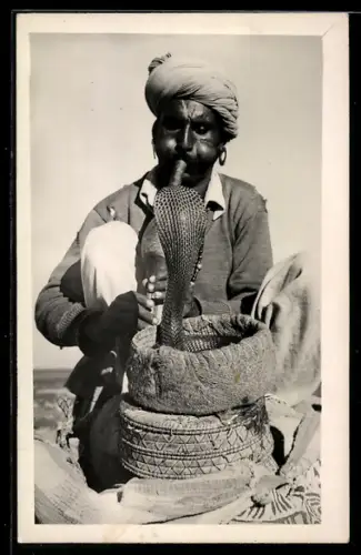 AK Karachi, Snake Charmer, Dressur