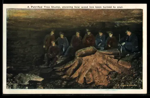AK A Petrified Tree Stump, showing how wood has been turned to coal