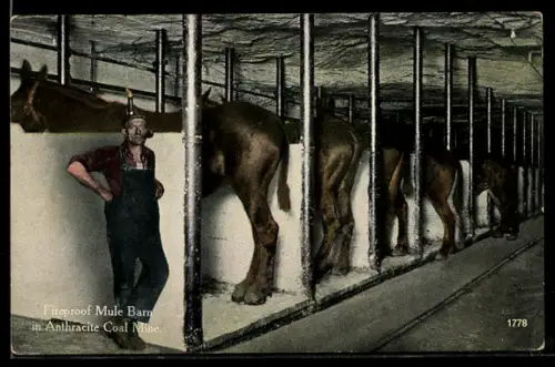 AK Fireproof Mule Barn in Anthracite Coal Mine