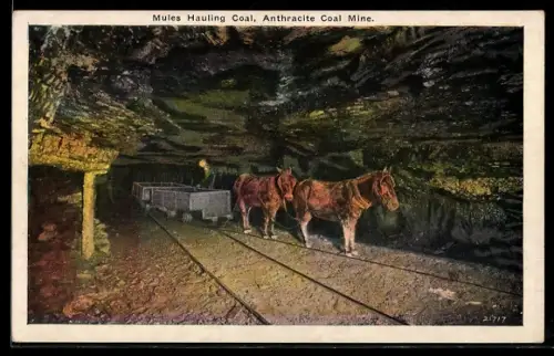 AK Mules Hauling Coal, Antracite Coal Mine, Bergbau