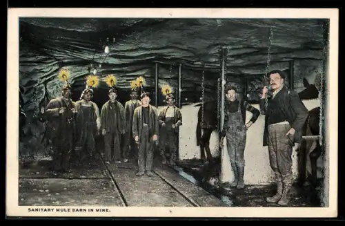 AK Sanitary Mule Barn in Mine, Bergbau