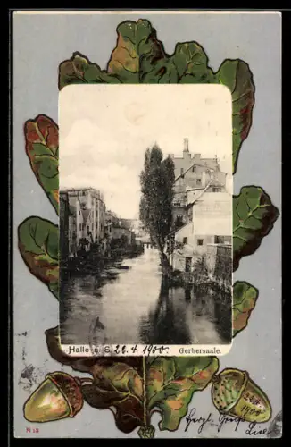 AK Halle / Saale, An der Gerbersaale, Ansicht auf Eichenblatt