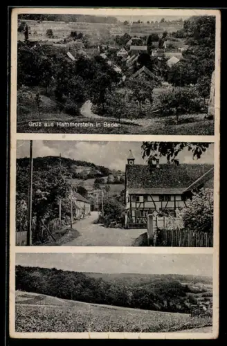 AK Hammerstein in Baden, Handlung Albertine Storz mit Strasse, Totalansicht, Landpartie