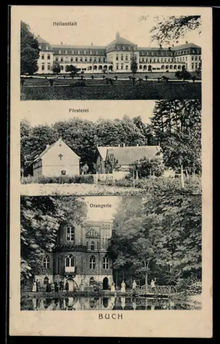 AK Buch, Heilanstalt, Försterei, Orangerie