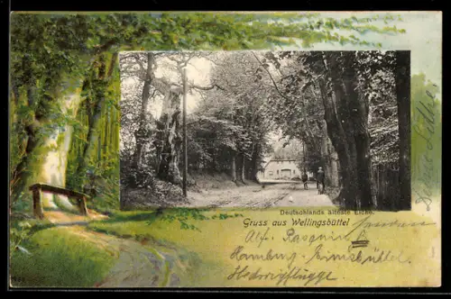 AK Hamburg-Wellingsbüttel, Ortsansicht mit Deutschlands ältester Eiche