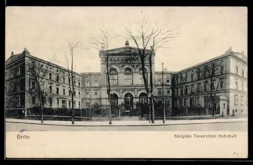 AK Berlin, Kgl. Tierärztliche Hochschule, Luisenstrasse 56