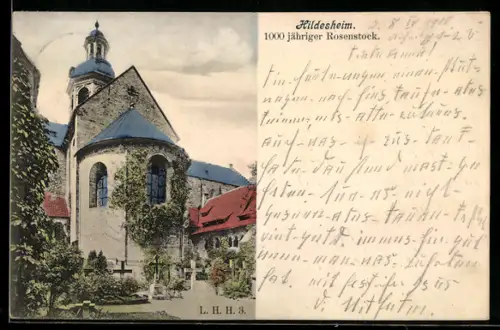 AK Hildesheim, 1000 jähriger Rosenstock