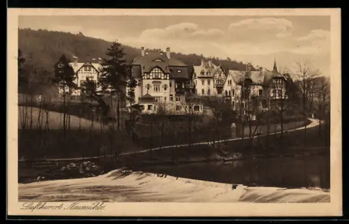 AK Neumühle, Teilansicht des Ortes mit Villen