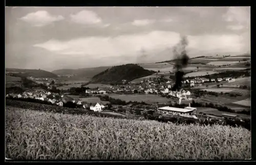 AK Rückershausen /Untertaunuskreis, Ortsansicht mit Fabrik und umliegender Landschaft