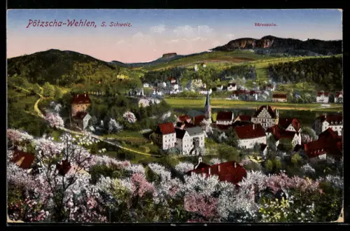 AK Pötzscha-Wehlen /S. Schweiz, Ortsansicht, Bärenstein