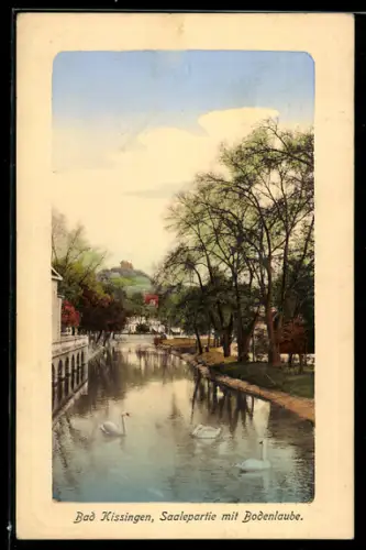 AK Bad Kissingen, Saalepartie mit Bodenlaube
