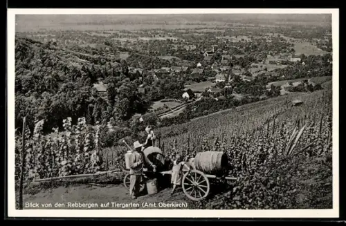 AK Tiergarten /Oberkirch, Blick von den Rebbergen auf Ort und Umgebung