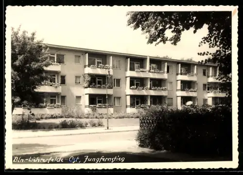 AK Berlin-Lichterfelde-Ost, Jungfernstieg in der Wohnsiedlung