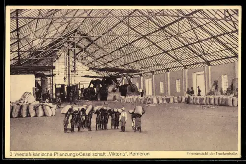 AK Kamerun, Pflanzungsgesellschaft Viktoria, Innenansicht der Trockenhalle