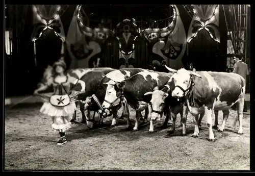 AK Monika Georgi mit ihren Kühen, Staatszirkus der DDR