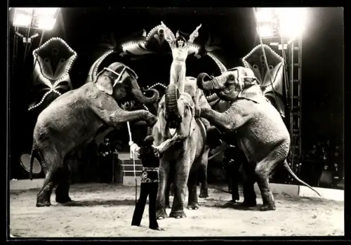 AK Siegfried und Helga Gronau bei einer Vorstellung mit Elefanten, Staatszirkus der DDR