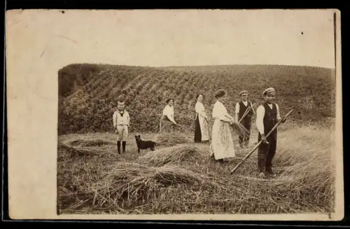 Foto-AK Personen mit Hund auf einem Feld bei der Arbeit