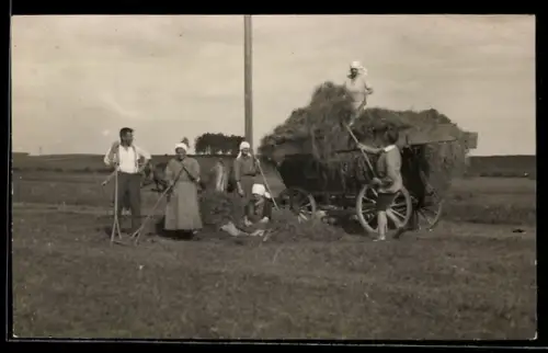 Foto-AK Personen auf einem Feld mit Heuwagen